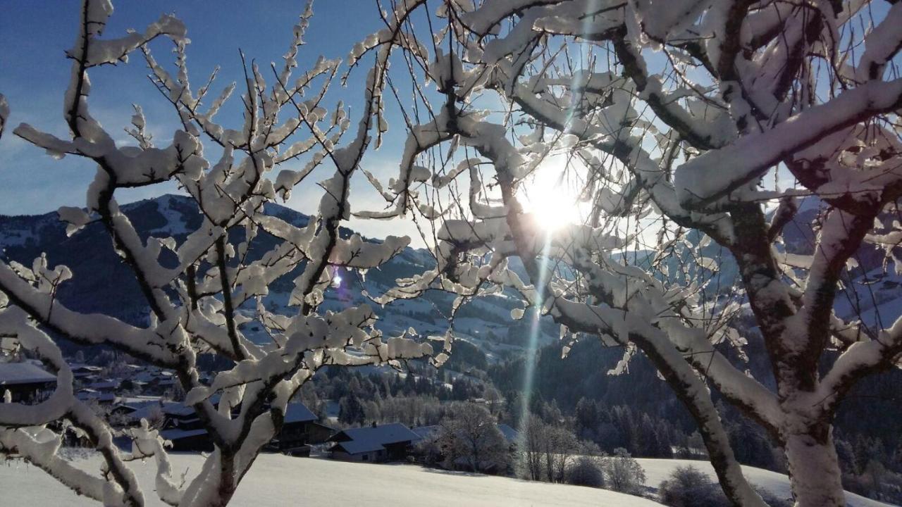 Aussermoos-Zuhaus Alpbach Eksteriør bilde