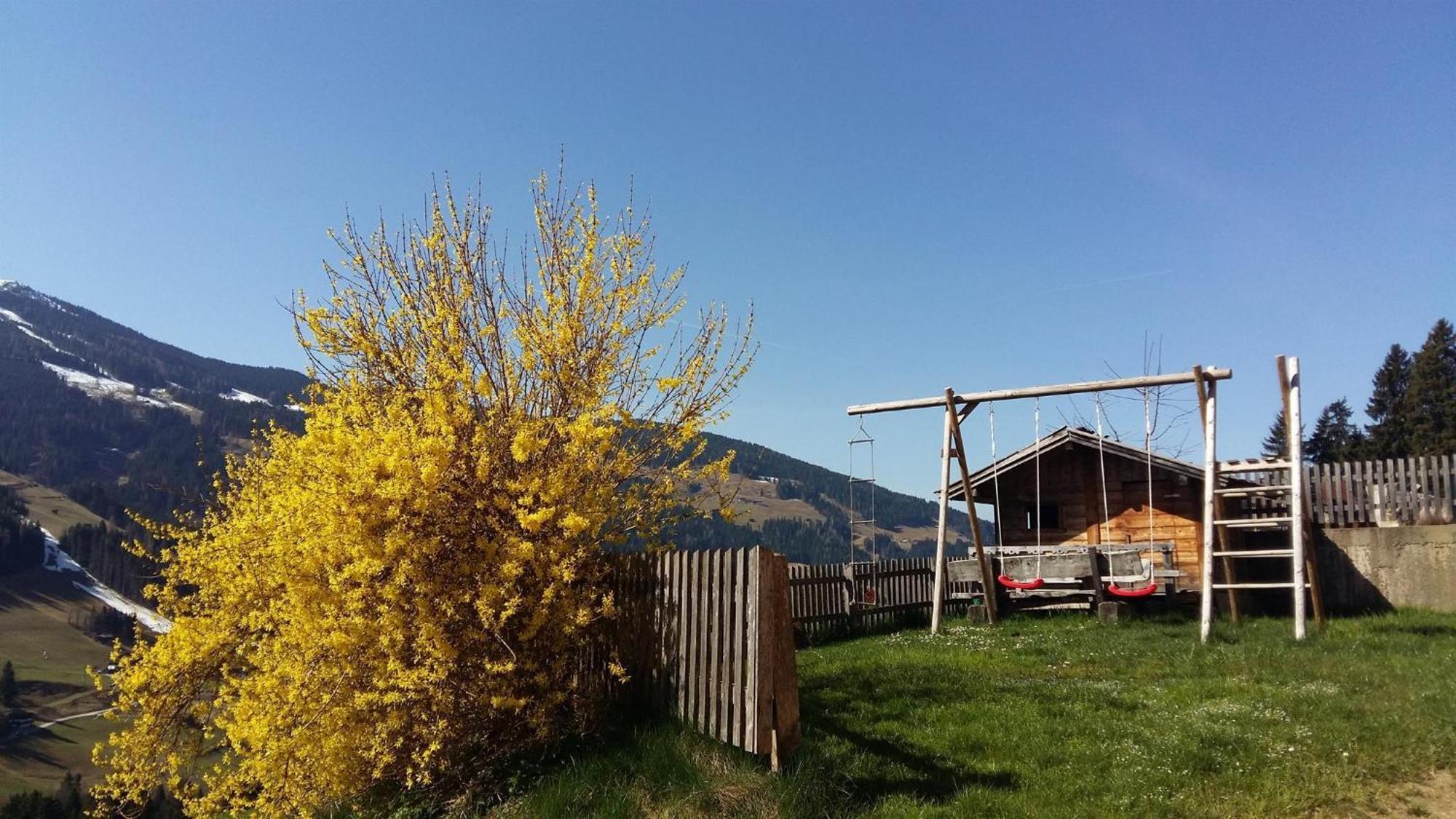 Aussermoos-Zuhaus Alpbach Eksteriør bilde